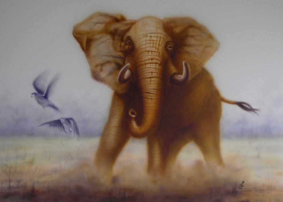 Airbrush Elefant